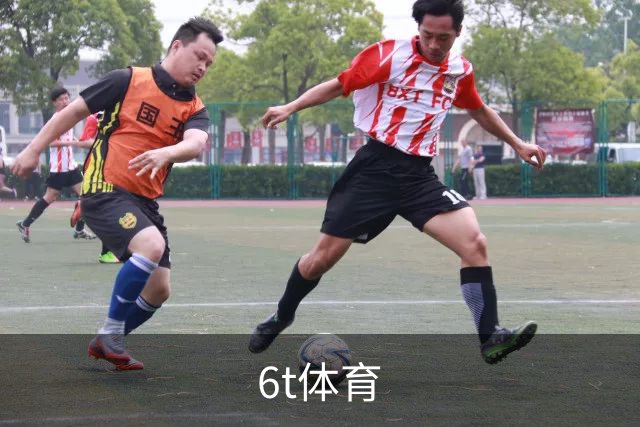 6t体育公司简介